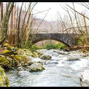 Meet your Posher, Philip